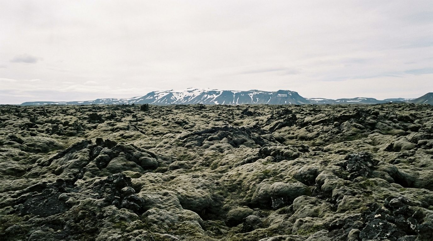 A black lava field carpeted in thick grey green moss running to a long snow streaked volcanic ridge under a pale sky